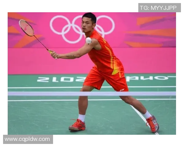 羽毛球场上的奋斗与梦想刘静的职业生涯深度对话