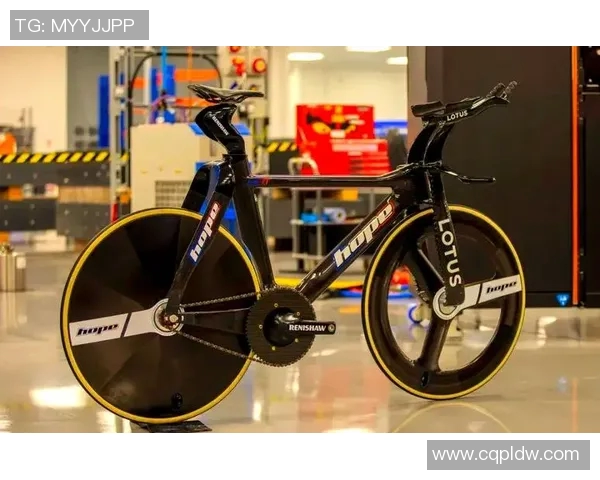 上海篮球队灵活性排名第三引发关注各队实力对比分析