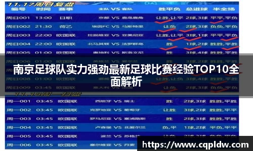 南京足球队实力强劲最新足球比赛经验TOP10全面解析