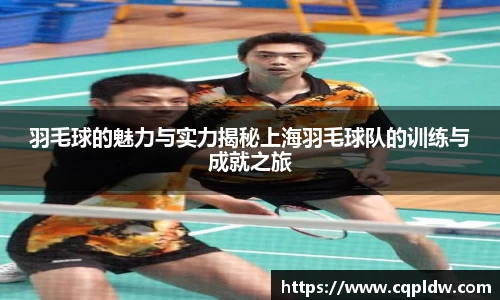 羽毛球的魅力与实力揭秘上海羽毛球队的训练与成就之旅